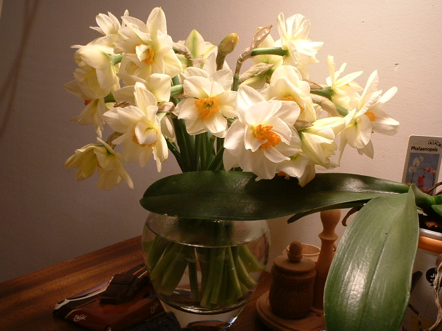 Zonkile raz jeszcze!